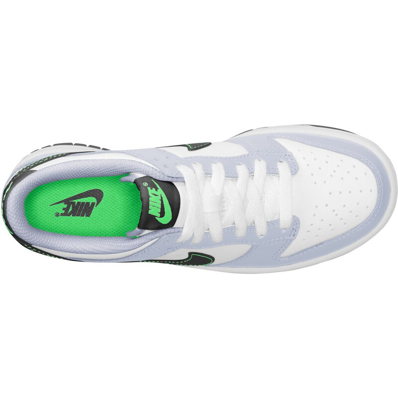 Pantofi sport Nike Dunk Low Bg
