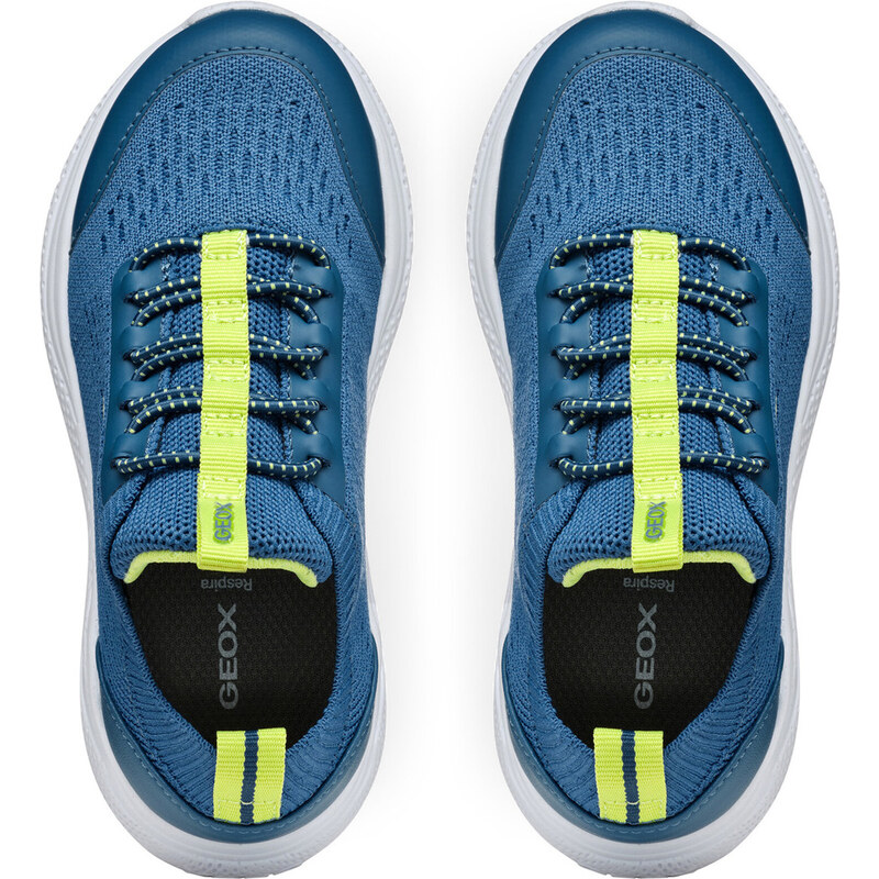 Sneakers Geox