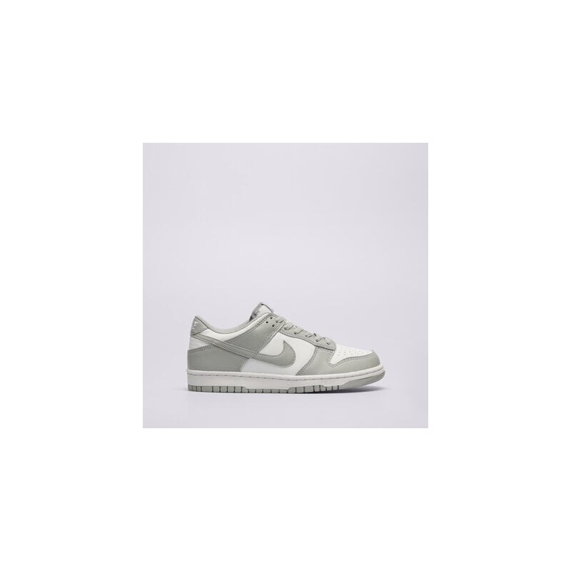 Nike Dunk Low Bg Copii Încălțăminte Sneakers FB9109-123 Gri