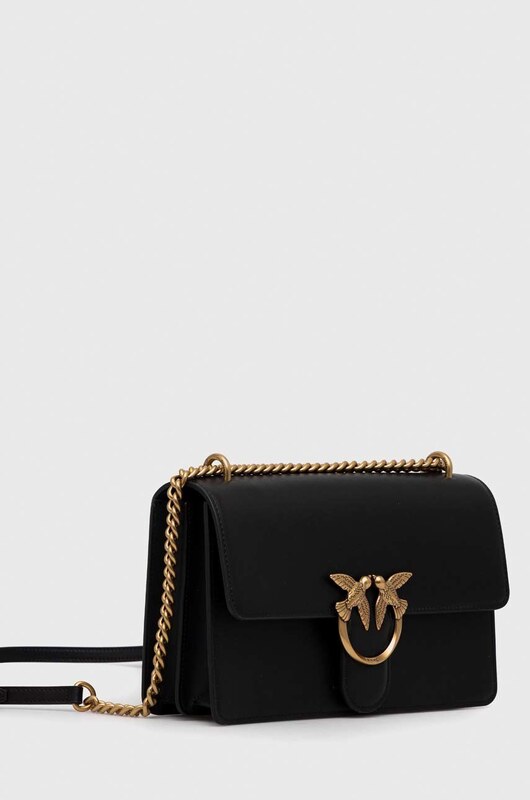 Pinko poseta de piele