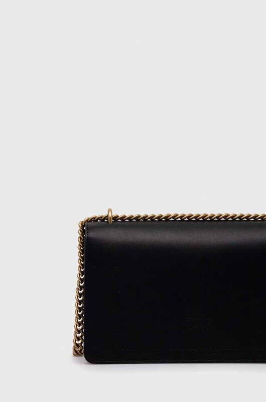 Pinko poseta de piele