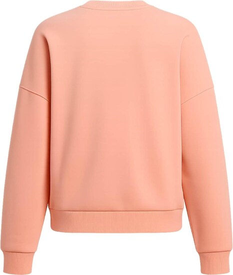 Karl Kani Bluză de molton ' ' portocaliu