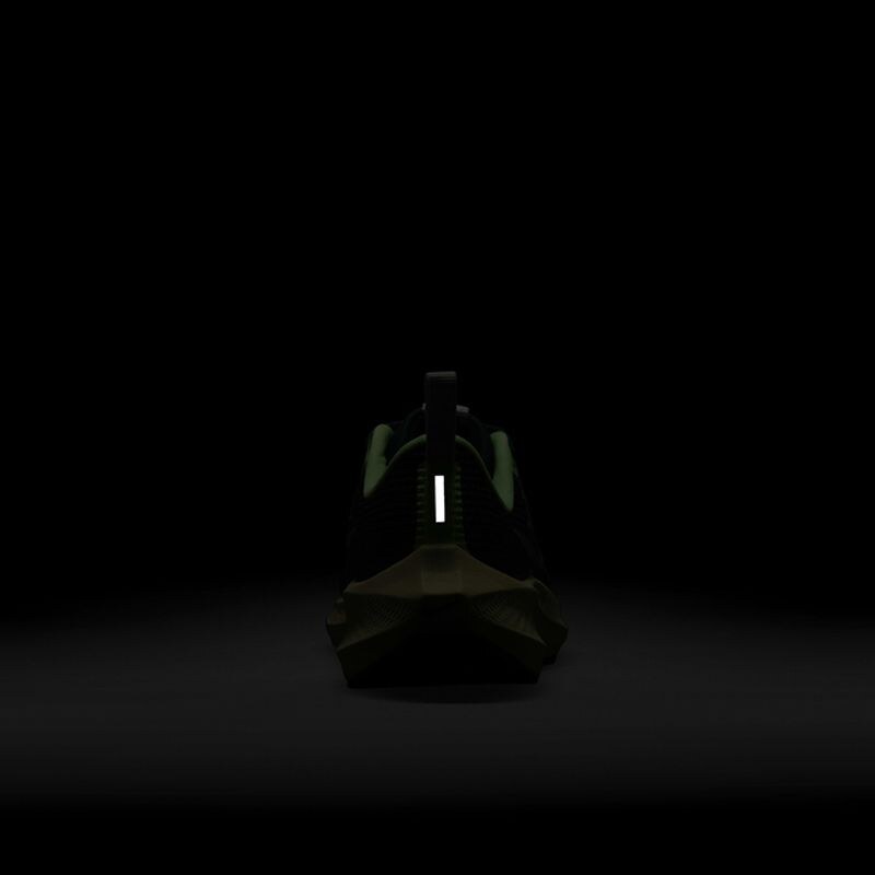 Pantofi Sport Dama NIKE Air Zoom Pegasus 40