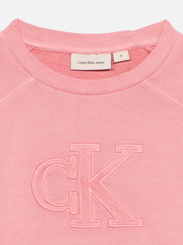 Calvin Klein Jeans Bluză de molton roz pitaya