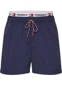 Tommy Hilfiger Underwear Șorturi de baie bleumarin / gri deschis / roșu / alb
