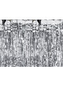 Partydeco Perdea decorativa, argintiu, 90x250 cm