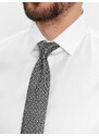 Cravată Hugo