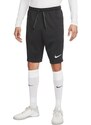 Pantalon Scurt Barbati NIKE Strike 22 Express Shorts