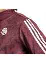 Bluză Adidas FC Bayern Munchen 23/24 Lifestyler pentru barbati (Marime: M)