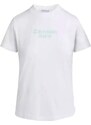 CALVIN KLEIN T-Shirt Stacked Institutional Reg Tee J20J223222 YAF bright white