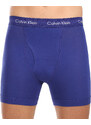 3PACK boxeri bărbați Calvin Klein multicolori (NB2616A-NLT) S