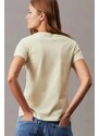 CALVIN KLEIN T-Shirt Gradient Ck Tee J20J222343 LFU green haze