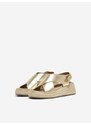 ONLY Pumps 'MINERVA-2' auriu