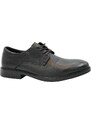Pantofi Barbati Eleganti Franky Piele Naturala Feni L56651