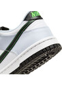 Pantofi sport Nike Dunk Low Bg