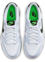 Pantofi sport Nike Dunk Low Bg