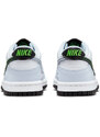 Pantofi sport Nike Dunk Low Bg