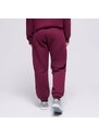 Pantaloni W Jordan Brkln Flc Pant 24 Femei Îmbrăcăminte Pantaloni FV7077-610 Bordo