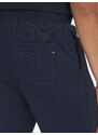 Pantaloni trening U.S. Polo Assn.