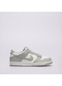 Nike Dunk Low Bg Copii Încălțăminte Sneakers FB9109-123 Gri
