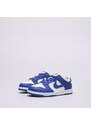 Nike Dunk Low Bp Copii Încălțăminte Sneakers FB9108-131 Albastru