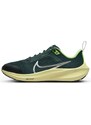 Pantofi Sport Dama NIKE Air Zoom Pegasus 40