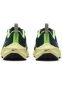Pantofi Sport Dama NIKE Air Zoom Pegasus 40
